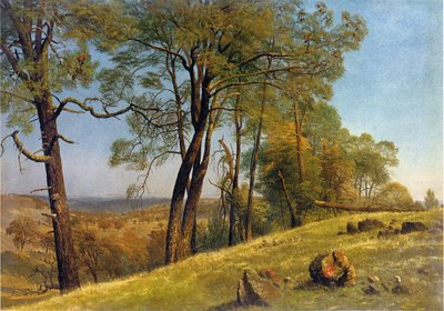 Landschaft Rockland County Kalifornien von Albert Bierstadt